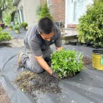 Fall Planting Sets Your Landscape Up for Spring Success